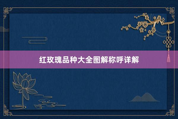 红玫瑰品种大全图解称呼详解